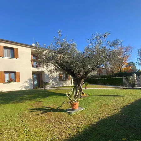 Maryhouse Borso del Grappa